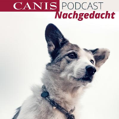 Ist mein Hund glücklich? Ist mein Hund glücklich?