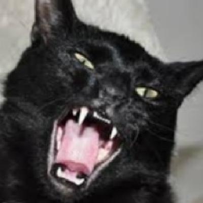 S XIX Edgar Allan Poe El gato negro.