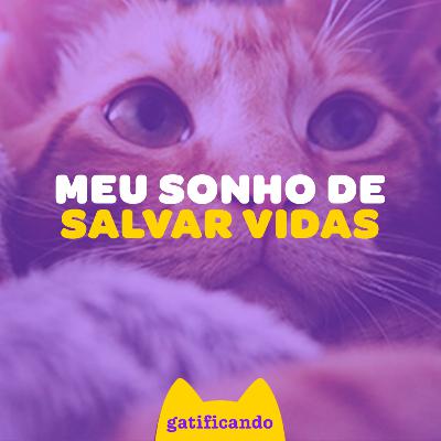 A colônia de gatos que mudou minha vida para sempre! Gatificando #51 (Elaine Bido)