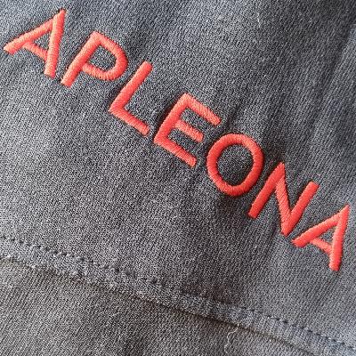Ondernemingsraad bij Apleona.