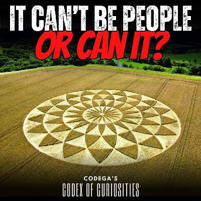 Crop Circles: Hoaxed or Guided by Something Beyond Us?
