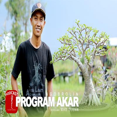 Program Akar Adenium