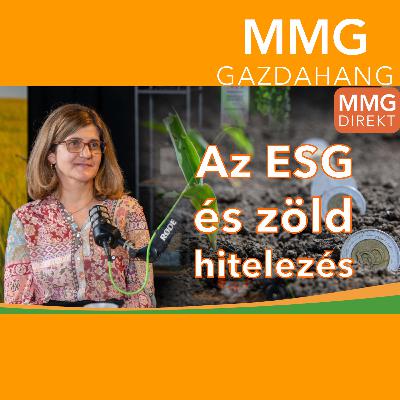Az ESG és zöld hitelezés | Dr. Lámfalusi Ibolya az Agrárközgazdasági Intézet szakértő munkatársa (188)