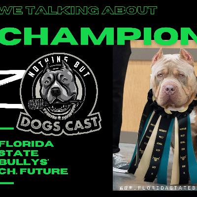 We Talking About Champions