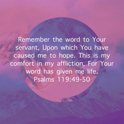 SPEAK LIFE