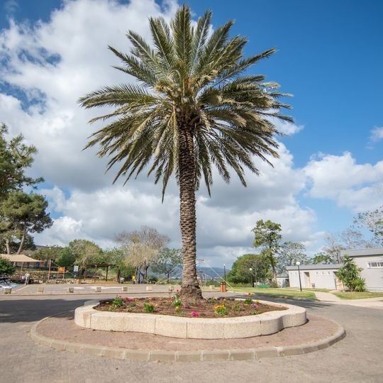 תכנית  171   שירים  על מספרים