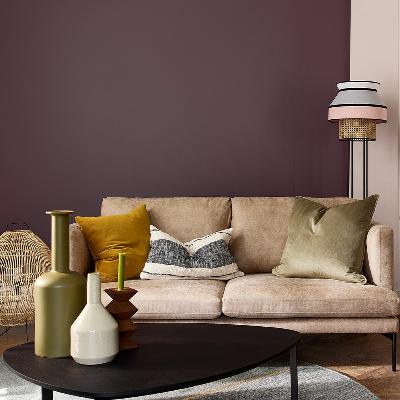 Purple Paint & Colour Ideas