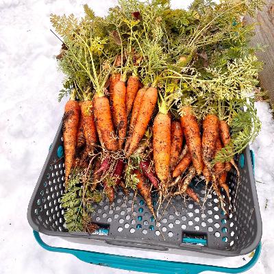 Episode 5 - Cold Weather Gardening