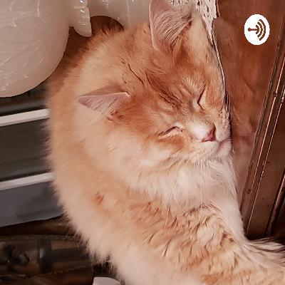 Breaking down our sample convo