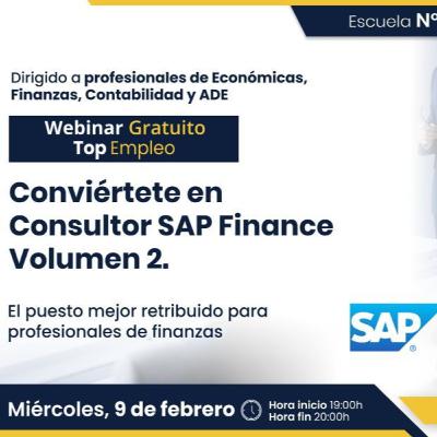 005. Conviértete en Consultor SAP Finance