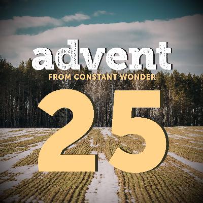 Merry Christmas from Constant Wonder - December 25