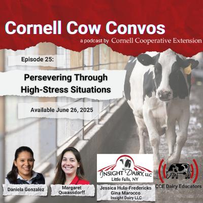 Cornell Cow Convos E25 Persevering Through High Stress Situations with Insight Dairy Cornell Cow Convos E25 Persevering Through High Stress Situations with Insight Dairy
