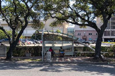 3: Trees and the Breeze