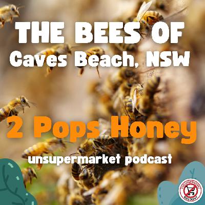 The Bees of Caves Beach