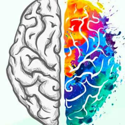 Nöromit Nedir? Hepimizin Doğru Sandığı 12 Nöroloji Miti! Nöromit Nedir? Hepimizin Doğru Sandığı 12 Nöroloji Miti!