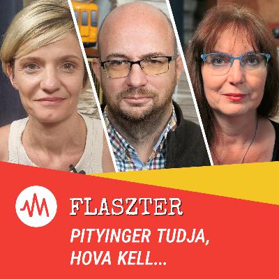 Flaszter 366. – Pityinger tudja, hova kell...