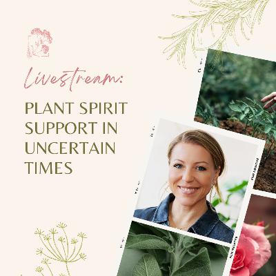 Pop-Up Live: Plant Spirit Support in Uncertain Times