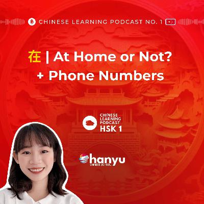 #8 在 (zài) & 电话号码 (diànhuà hàomǎ) | Learn Chinese Online | HSK1 Masterclass