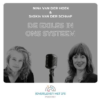 De exiles in ons systeem De exiles in ons systeem
