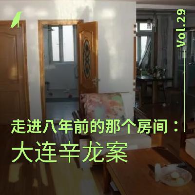 029 走进八年前的那个房间：大连辛龙案