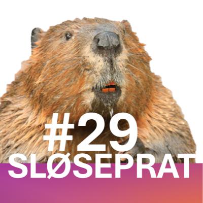 029 Tabbekonferanse – Bever-helter – Bomring-omdømme