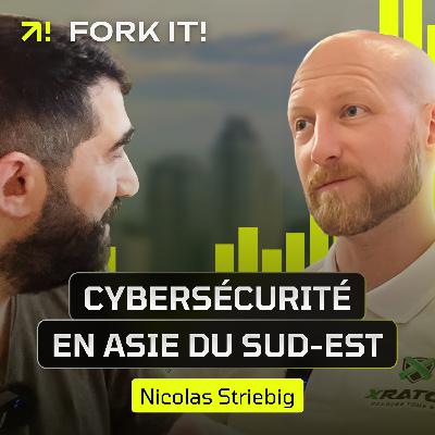 La Cybersécurité en Asie du Sud-Est : L’expérience de Nicolas Striebig
