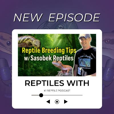 Matt Baronak of Sasobek Reptiles on Breeding Reptiles, Zoo Keeping & MORE | Reptiles With Podcast