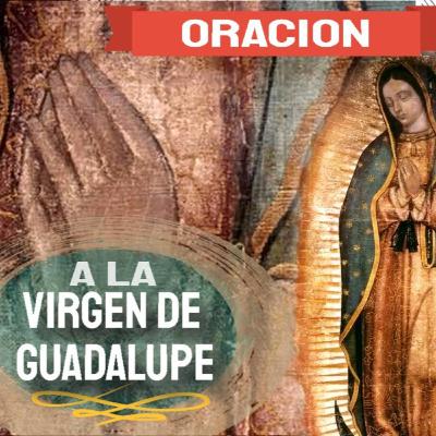 Oración a nuestra Madre de Guadalupe, novena día 7 Oración a nuestra Madre de Guadalupe, novena día 7