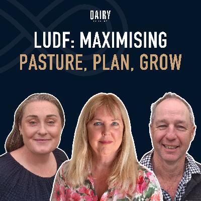 Episode 96 - LUDF: Maximising Pasture, Plan, Grow