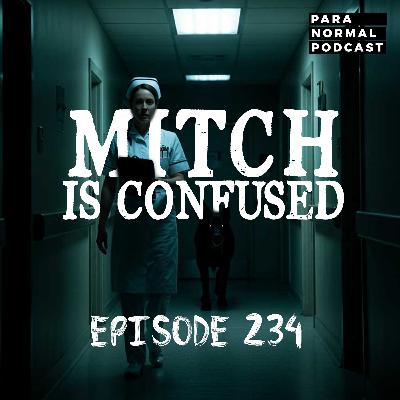 EP 234 - Mitch is Confused EP 234 - Mitch is Confused