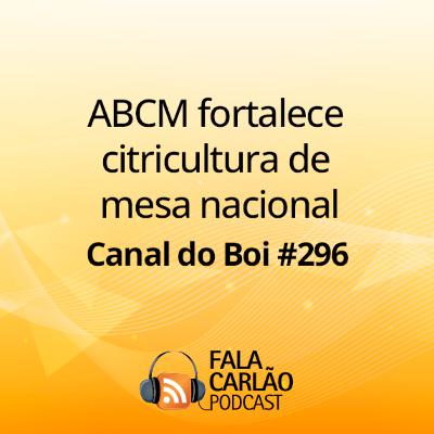 ABCM fortalece citricultura de mesa nacional | Canal do Boi #296