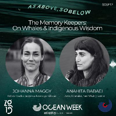 Johanna Maggy and Anahita Babaei. The Memory Keepers: On Whales & Indigenous Wisdom