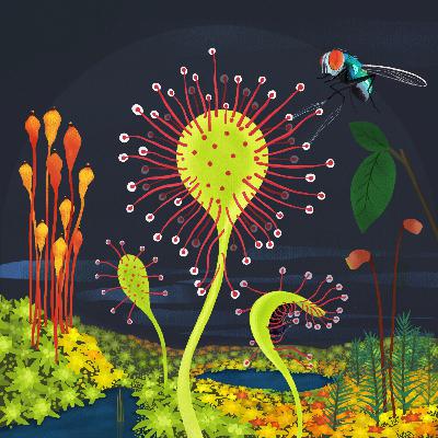 FE6.8 - For Peat's Sake FE6.8 - For Peat's Sake