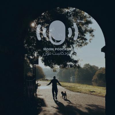 أنت ودائرتك