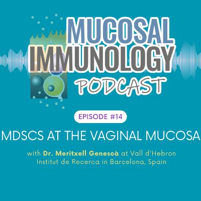 MDSCs at the Vaginal Mucosa
