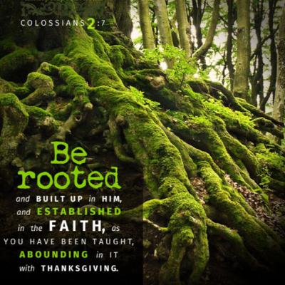 Daily Audio Torah ~ Oct 5, 2025 ~ May Your Roots Grow Down Deep into Christ!
