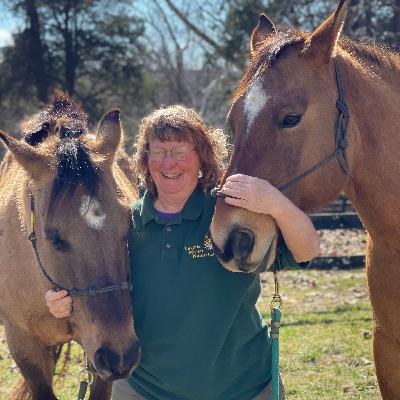 Integrative Equine Health with Joyce Harman