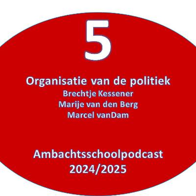 Organisatie van lokale politiek