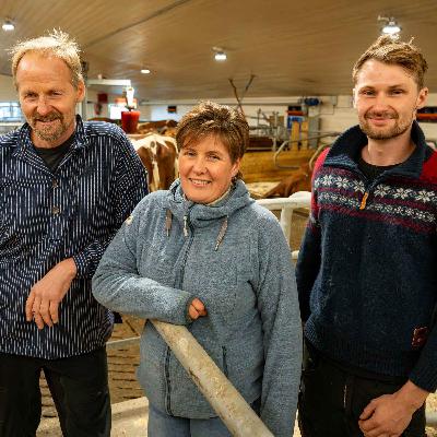 Åpne fjøs hos Børli og Ulberg