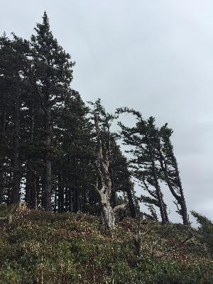 OEP 3/15/22: Wife Signs guest mix