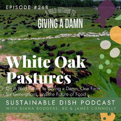 White Oak Pastures on "A Bold Return to Giving a Damn" White Oak Pastures on "A Bold Return to Giving a Damn"