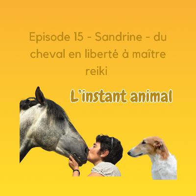 #14 Sandrine - du cheval en liberté à maitre Reiki