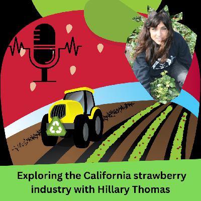 Exploring the California Strawberry Industry with Hillary Thomas