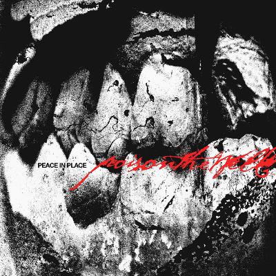 ALBUM REVIEW: Poison the Well - Peace in Place