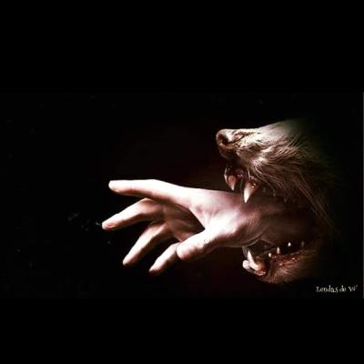 LobisWoman - O Conto Proibido