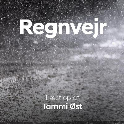 Regnvejr Regnvejr