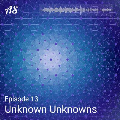 #13 Blindsided by an Unknown Unknown