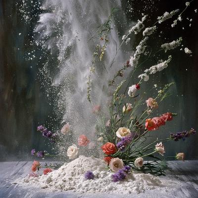Edible flowers
