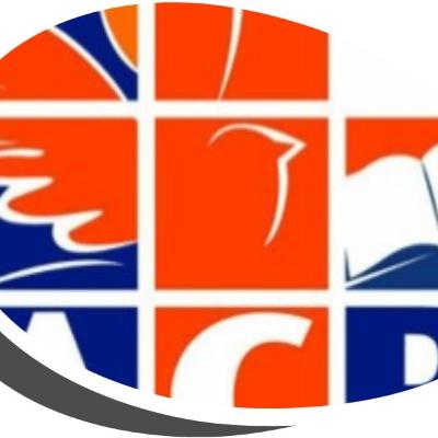 Math. 4:18-22. Schaapjes van de Herder. Br. Hugo Bakker