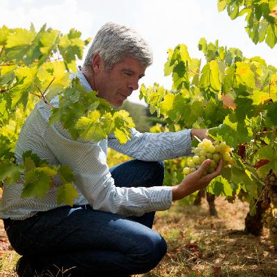 ¿Cómo responder a los negacionistas de los alimentos ecológicos? ¿Cómo responder a los negacionistas de los alimentos ecológicos?